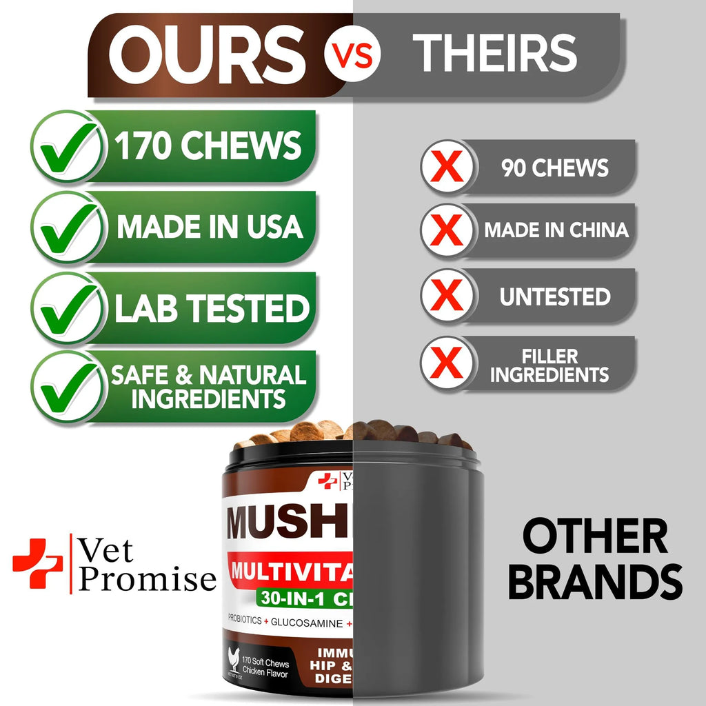 2 Pack Mushroom for Dogs 340 Chews Turkey Tail Mushroom