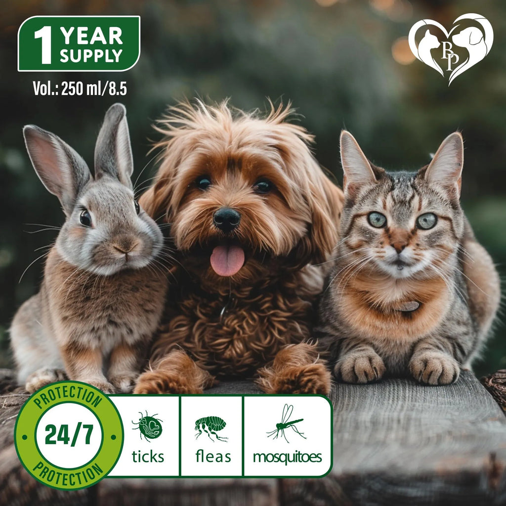 Natural Flea and Tick Home Spray for Dogs Cats & Ferret Mosquito Bug Repellent & Carpet Flea Killer Pet Pest Control & House Flea Treatment Indoor Org