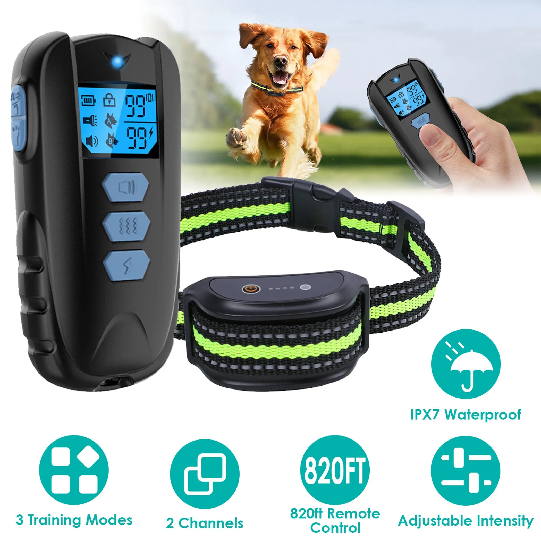 Dog Training Collar
